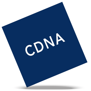 CDNA